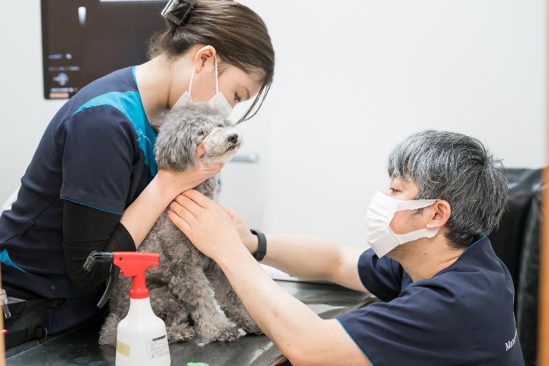 PAWS有限会社のアルバイト・バイト求人情報-04