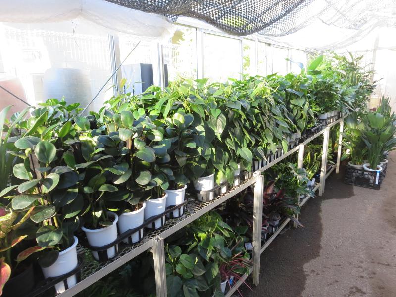 株式会社　西花園のアルバイト・バイト求人情報-02