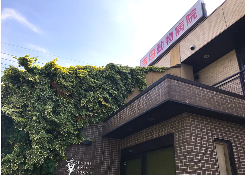 吉田動物病院のアルバイト・バイト求人情報-03