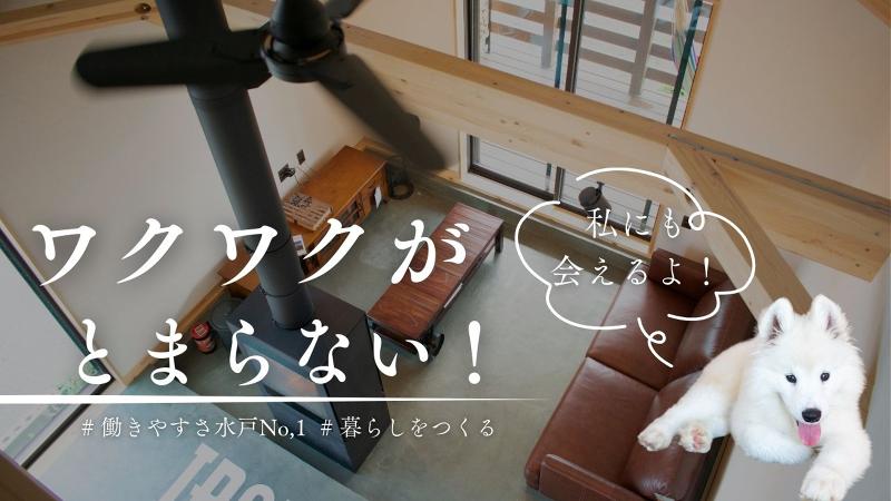 株式会社ハースの求人・転職情報