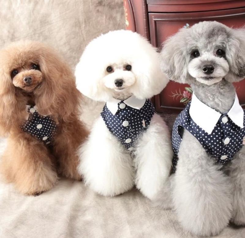 株式会社コープ東北保険センター ふくしま支店の求人・転職情報-03