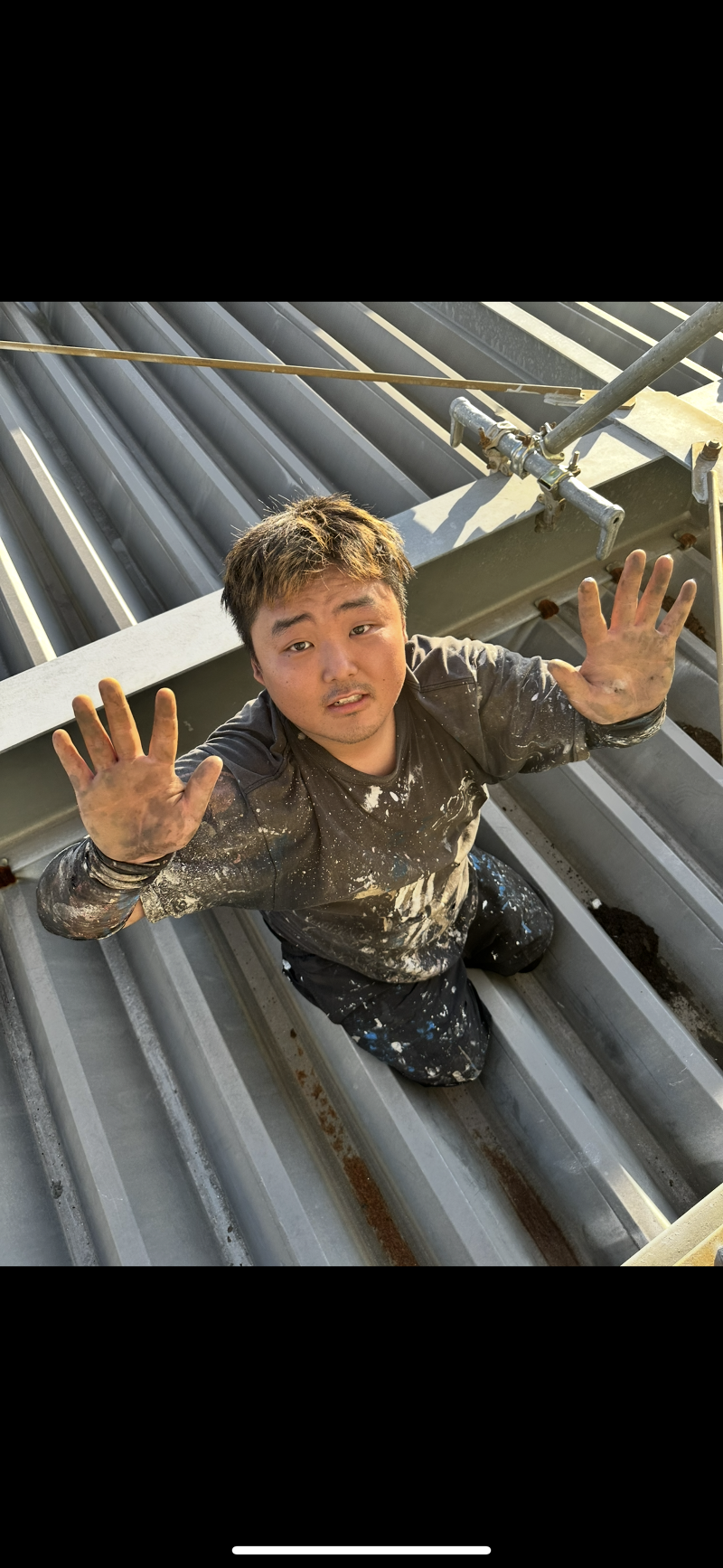 Louis Groupの求人・転職情報