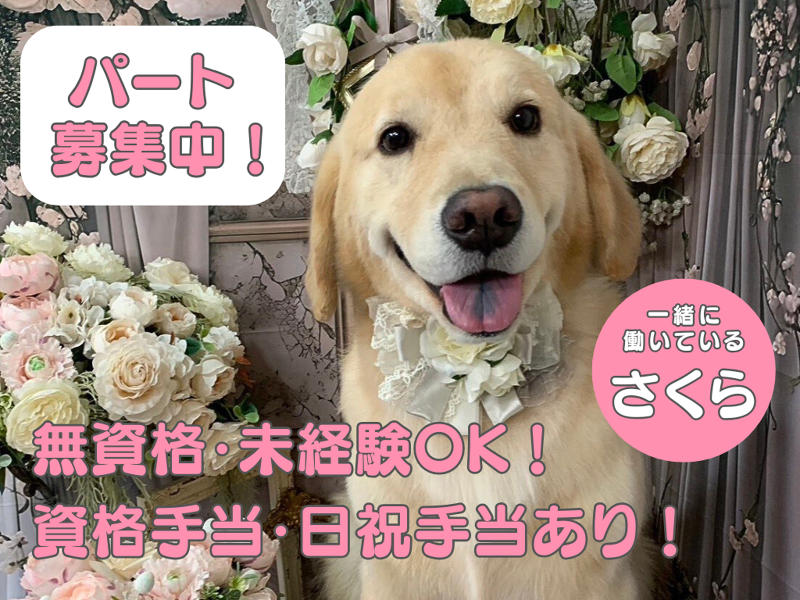 社会福祉法人博光福祉会のアルバイト・バイト求人情報-21