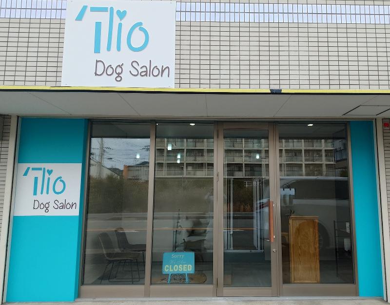 株式会社Pilinaの求人・転職情報