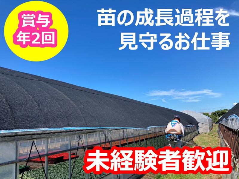 株式会社山本苗屋の求人・転職情報
