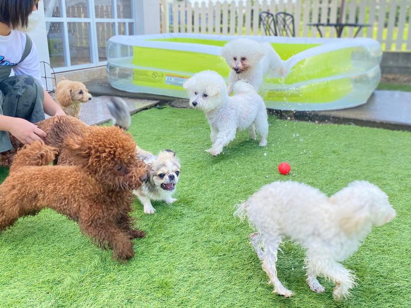 PUPPY株式会社のアルバイト・バイト求人情報-05