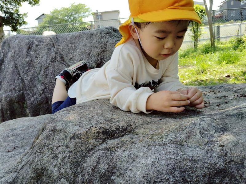 (株)NOKYDのイメージ2