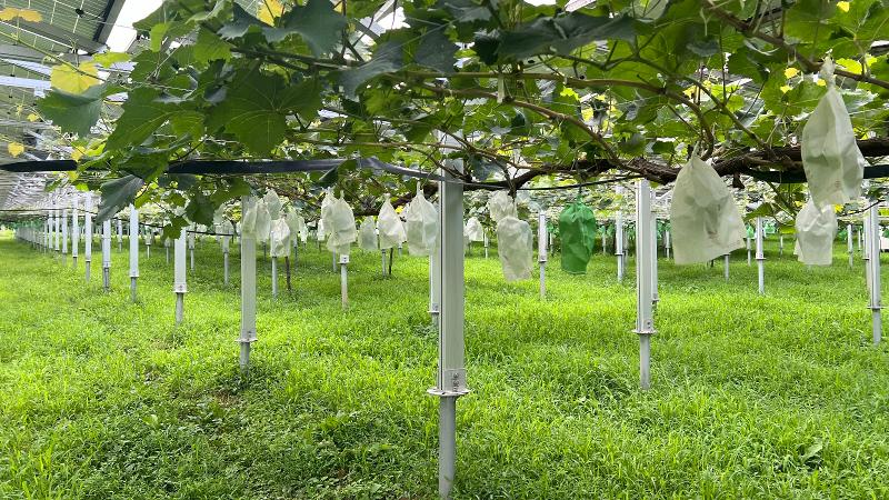 ブルースカイエナジー株式会社のアルバイト・バイト求人情報-02