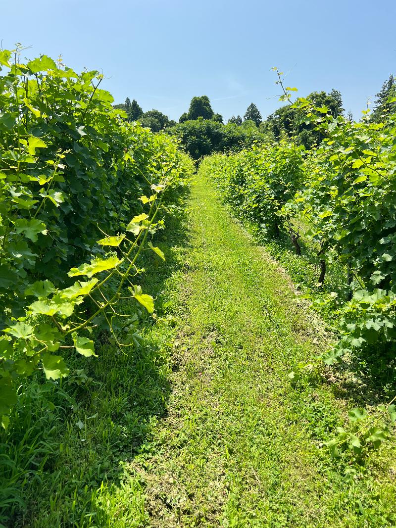 asoBe就労継続支援B型の求人・転職情報-02