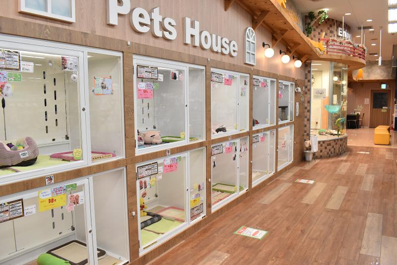 有限会社ペット・プラザ　豊中服部店のアルバイト・バイト求人情報-03