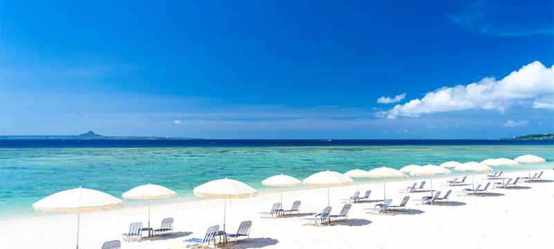 MT&ヒルトンホテル株式会社/ヒルトン沖縄瀬底リゾートの求人・転職情報