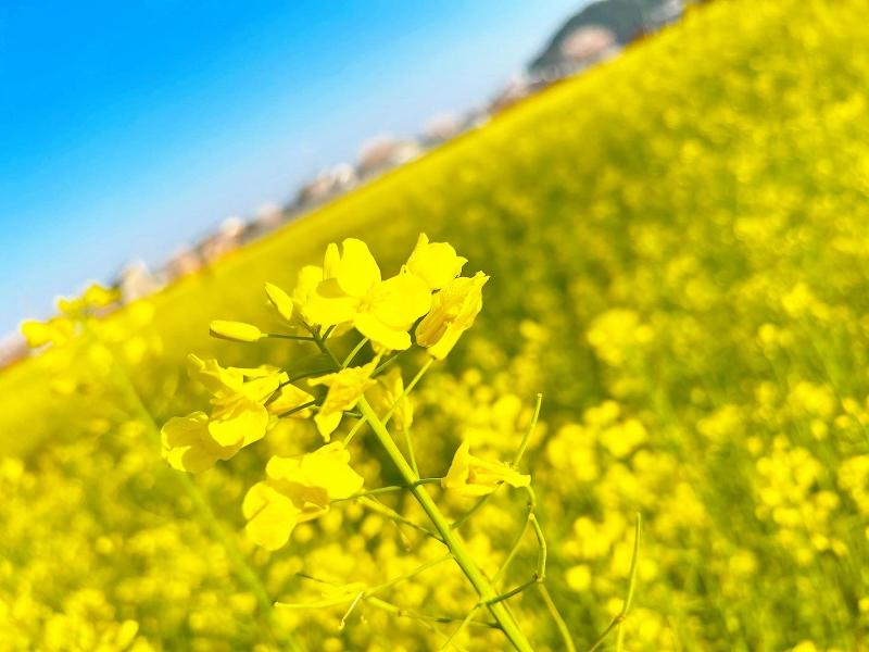 ＹＡＭＡＴＯＮ　ＧＲＯＵＰ株式会社の求人・転職情報