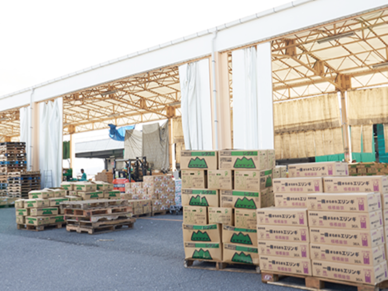 奈良丸栄産業株式会社の求人情報