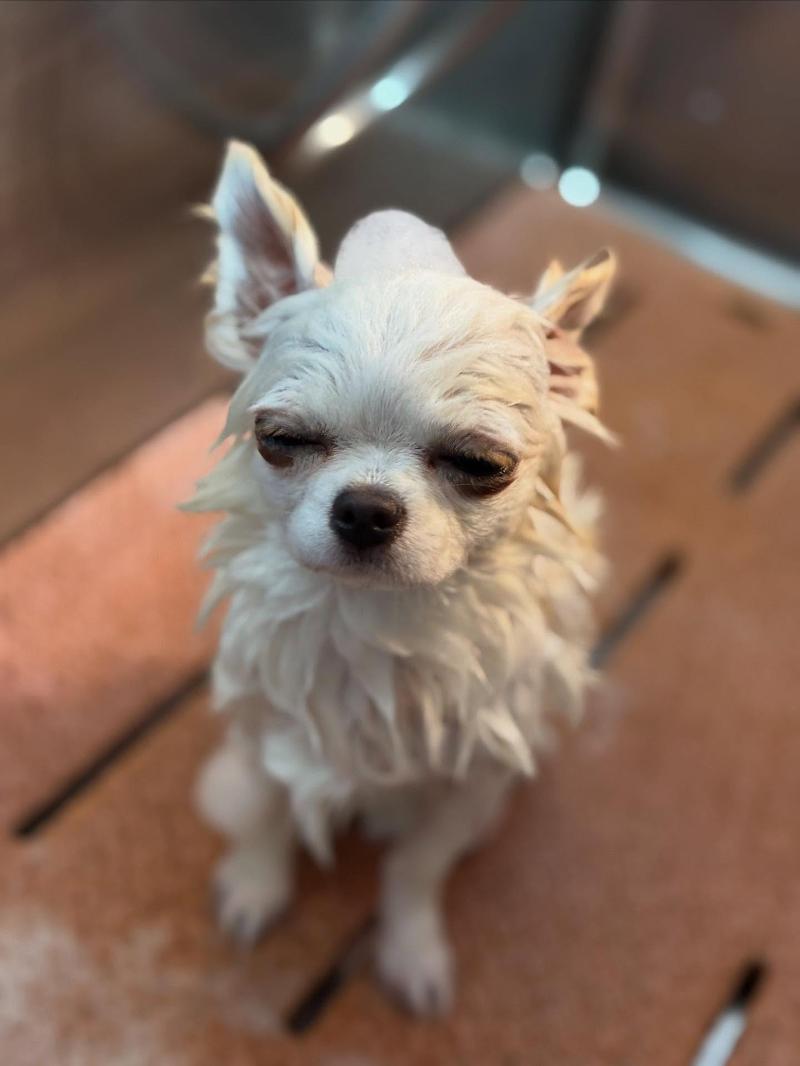 株式会社ANELLA Groupのアルバイト・バイト求人情報-02