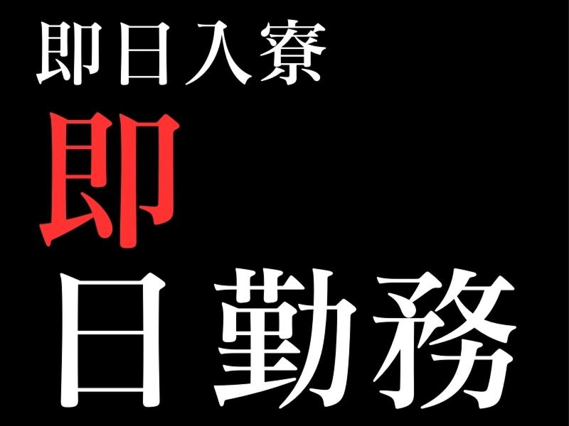 株式会社バイセップスの求人・転職情報