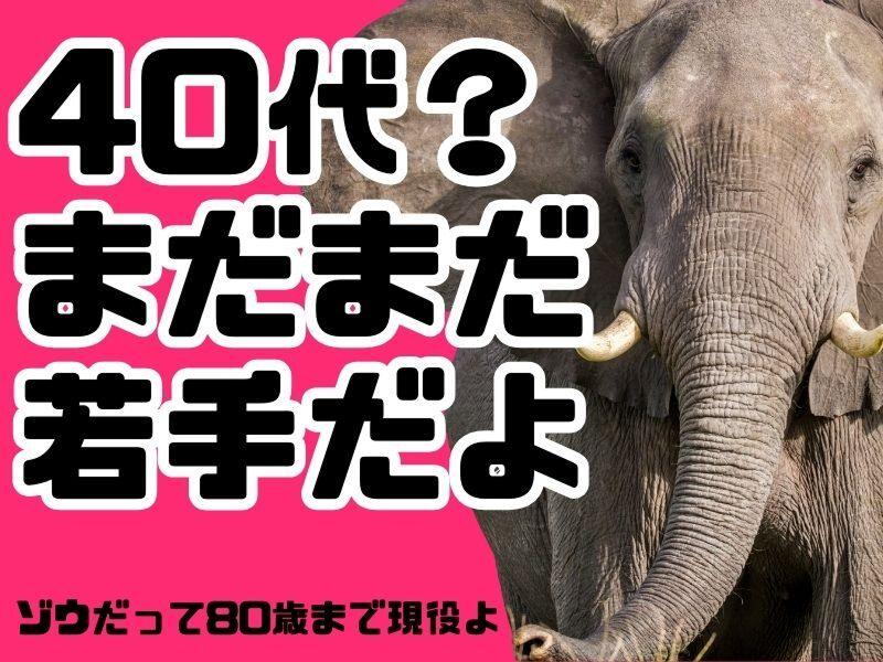 イズミ物流株式会社の求人・転職情報