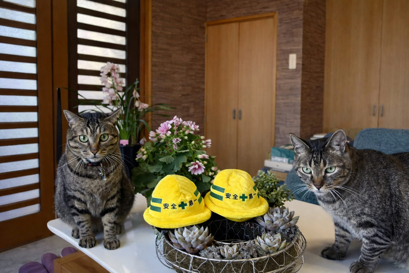 有限会社鳶森谷興業のアルバイト・バイト求人情報-05