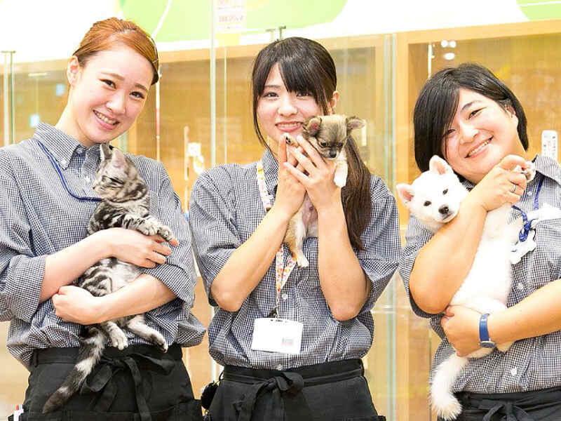 ワンニャンハウス株式会社のアルバイト・バイト求人情報-05