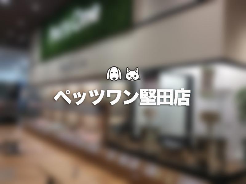 株式会社オフィスピースワンの求人・転職情報