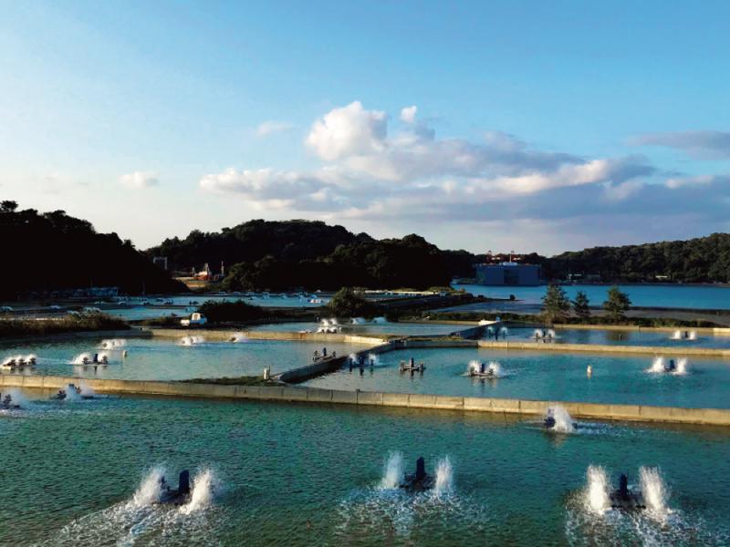 有限会社宜野座養殖場　くるまえびキッチンTAMAYAのアルバイト・バイト求人情報-02
