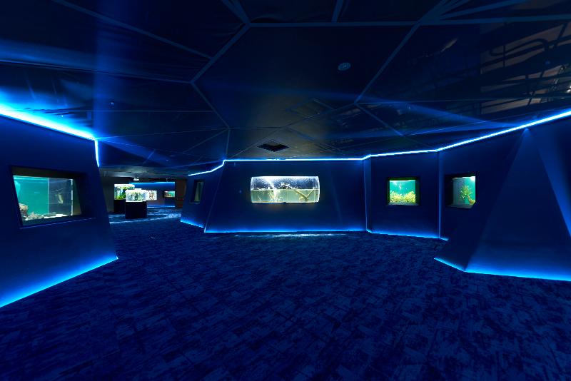 株式会社MOFFのアルバイト・バイト求人情報-02