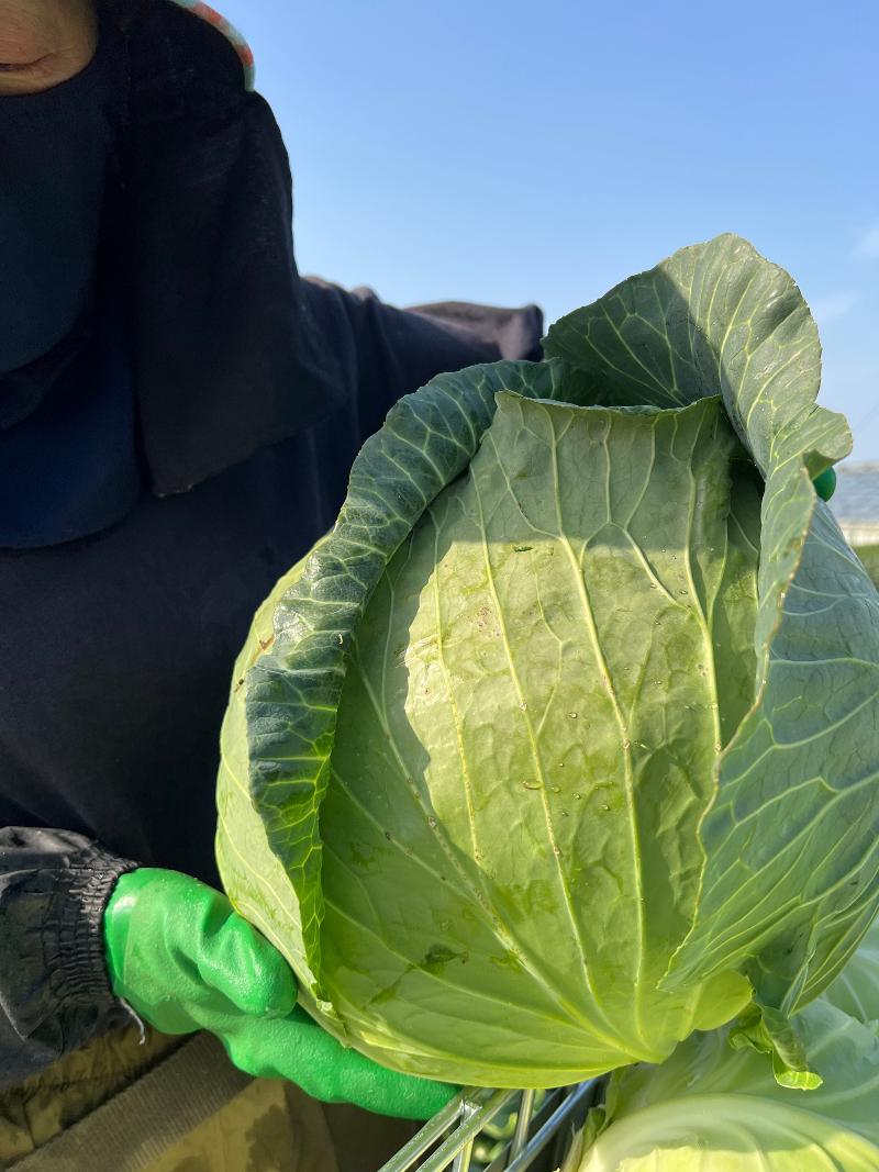 有限会社 光部牧場のアルバイト・バイト求人情報-05