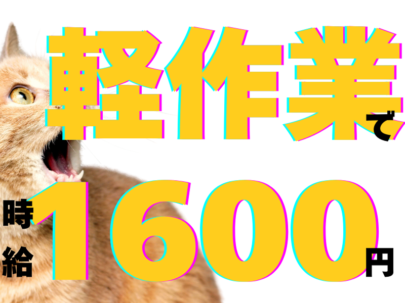 株式会社ワールドインテックのアルバイト・バイト求人情報-02