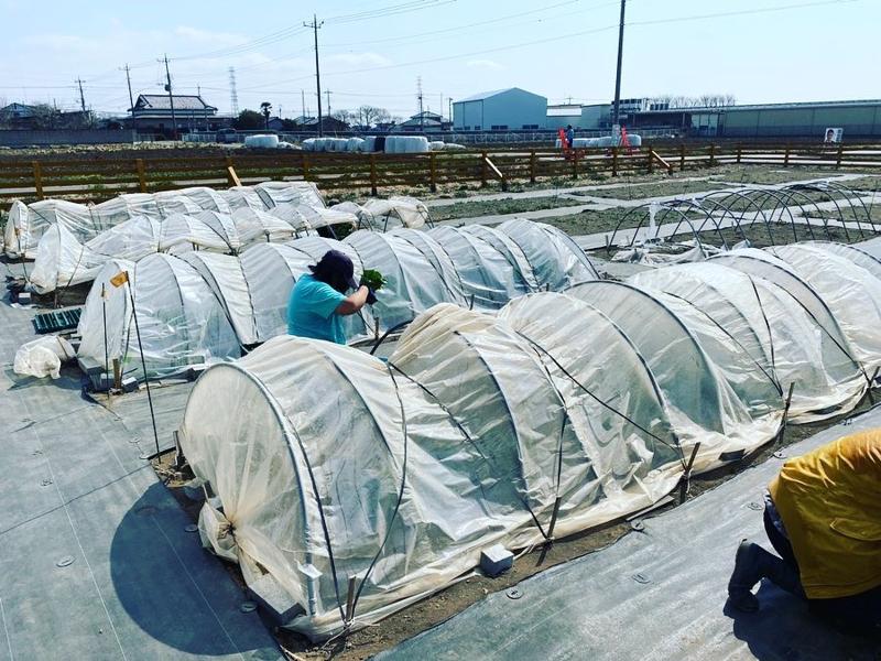 株式会社ワンライフのアルバイト・バイト求人情報-04