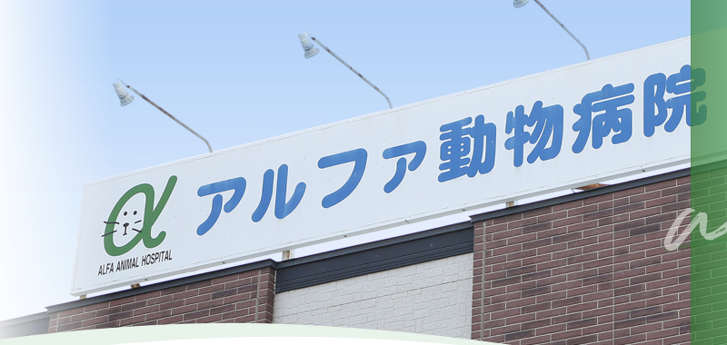 株式会社アルファの求人・転職情報