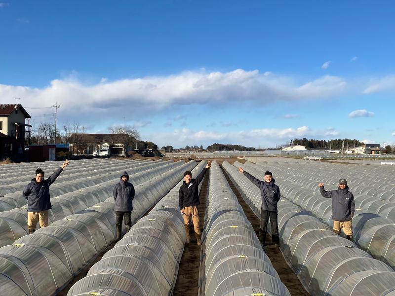 株式会社Ｙ’ｓ　ｆａｒｍの求人・転職情報