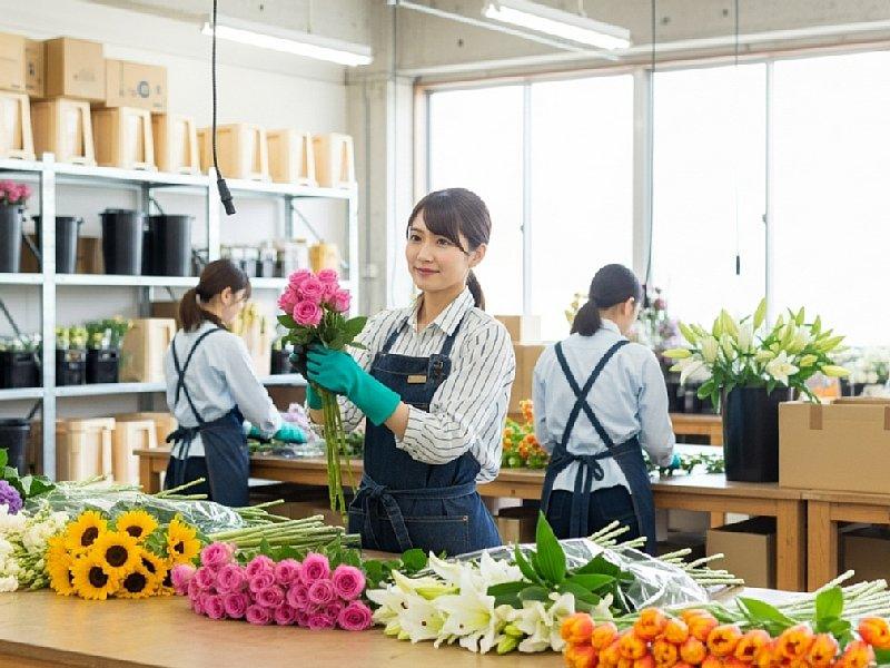 株式会社シーセンスのアルバイト・バイト求人情報-01