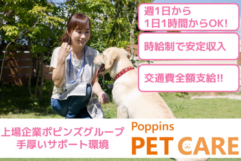 株式会社ポピンズシッター-0009の求人・転職情報