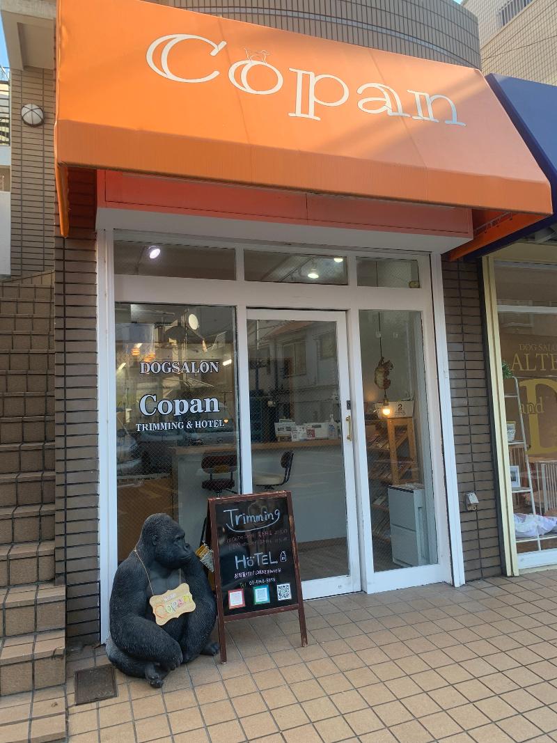 株式会社Ｃｏｐａｎの求人・転職情報