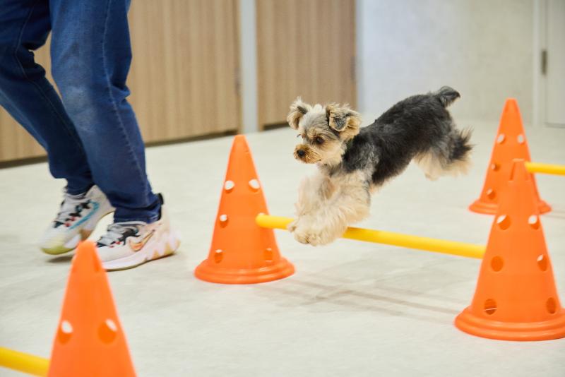 株式会社EMITASのアルバイト・バイト求人情報-05