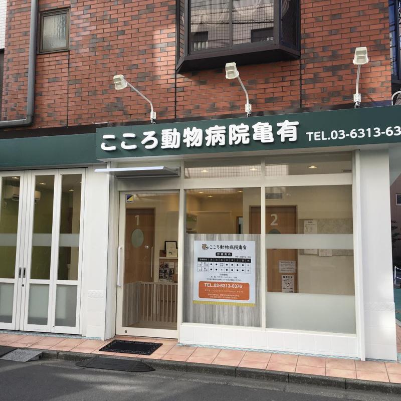 株式会社ｃｏｃｏｒｏｋｋａの求人・転職情報