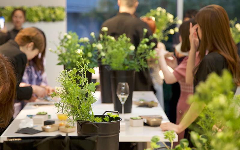 ニコライバーグマン株式会社のアルバイト・バイト求人情報-04