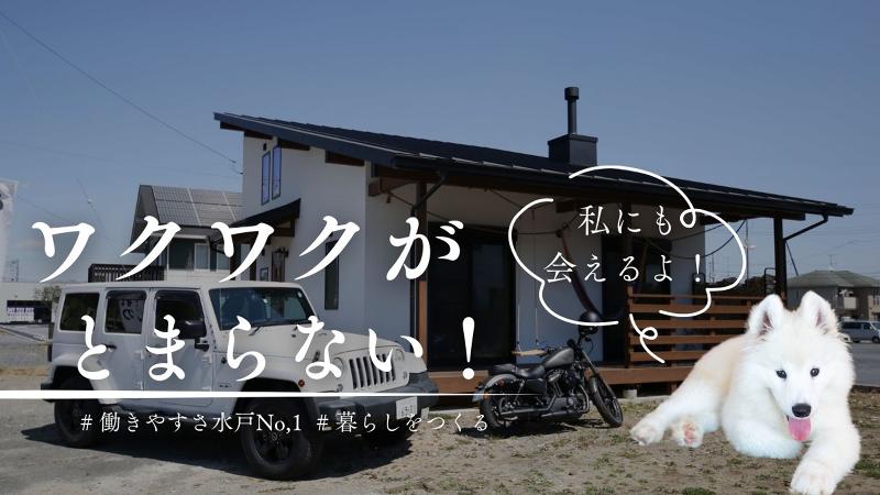 株式会社ハースの求人・転職情報