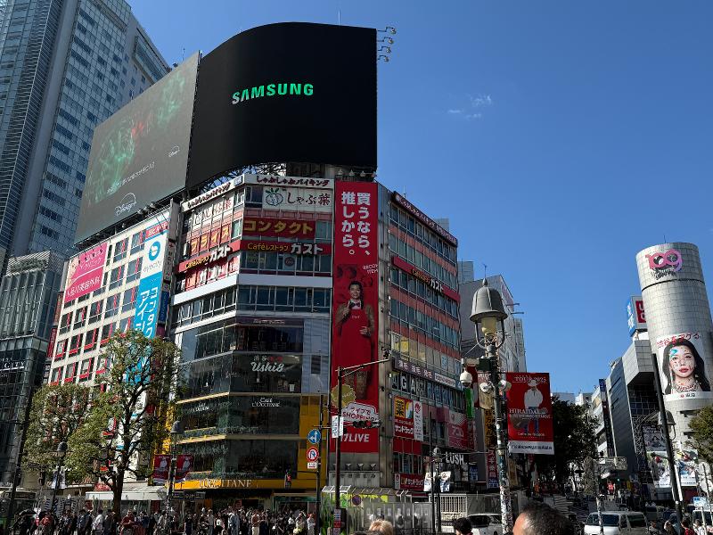 ツツミプロジェクト株式会社の求人・転職情報