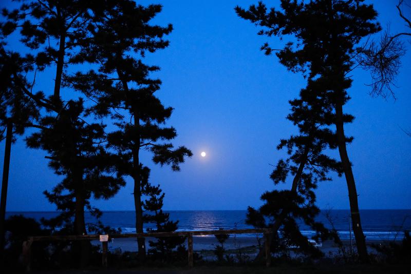 株式会社 大洗まちづくり専科のアルバイト・バイト求人情報-03