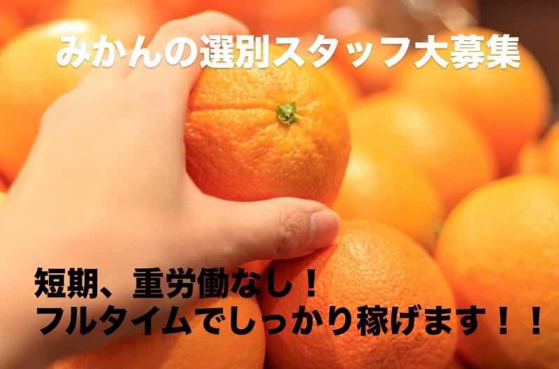 株式会社NONのアルバイト・バイト求人情報-17