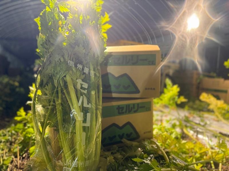 有限会社シノハラ農産のアルバイト・バイト求人情報-04