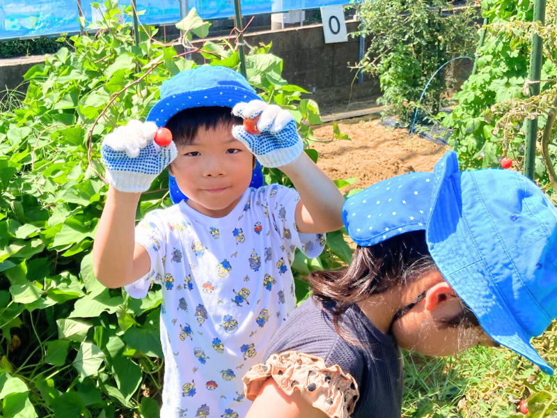 輝きベビー保育園 瑞江のアルバイト・バイト求人情報-03