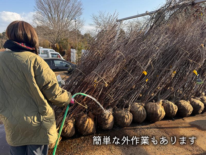 八進緑産株式会社のアルバイト・バイト求人情報-03