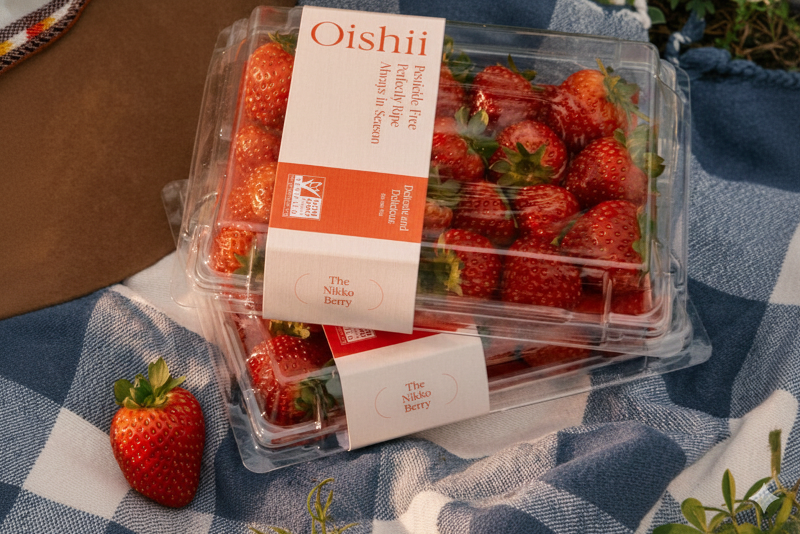 Oishii Farm株式会社の求人・転職情報