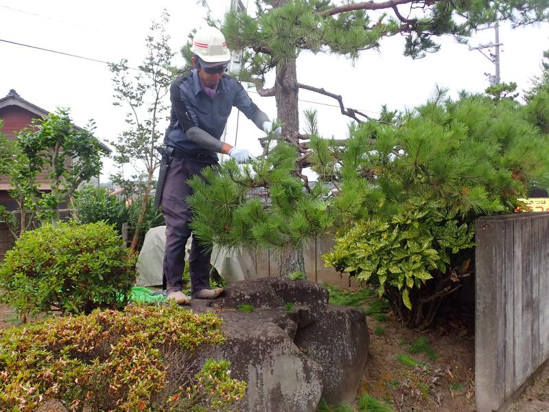 株式会社押水グリーンセンターの求人・転職情報