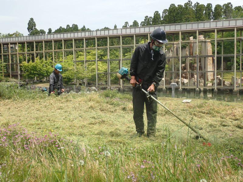 植彌加藤造園株式会社の求人・転職情報
