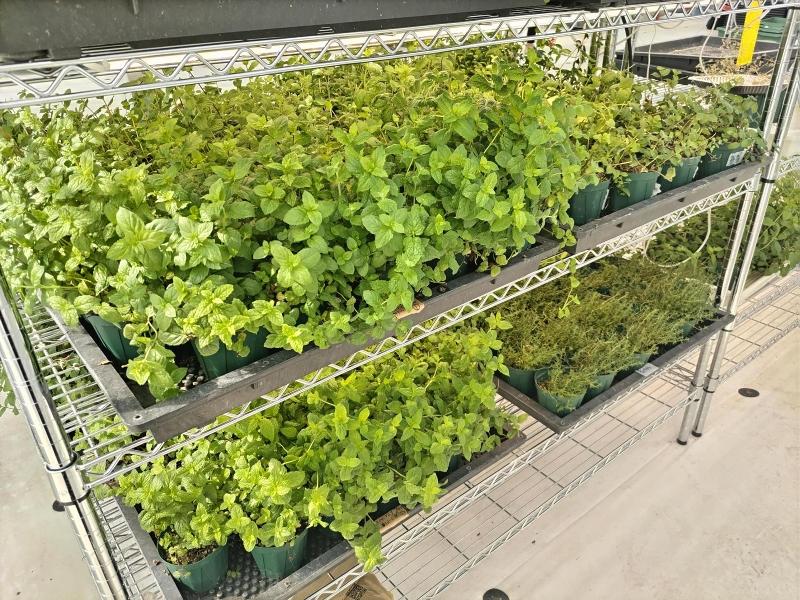 医療法人社団 亮正会のアルバイト・バイト求人情報-05