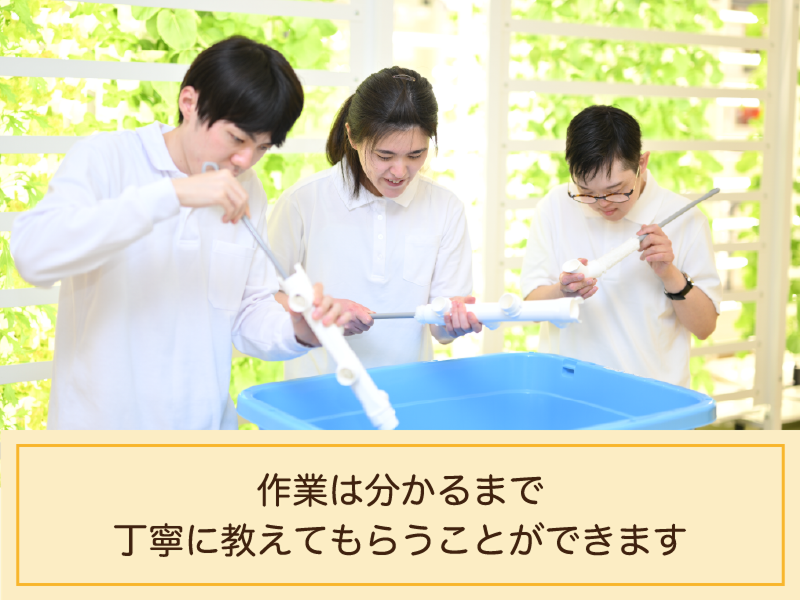 ソーシャルファーム　わーくはぴねす農園Plus　名古屋第2のアルバイト・バイト求人情報-02