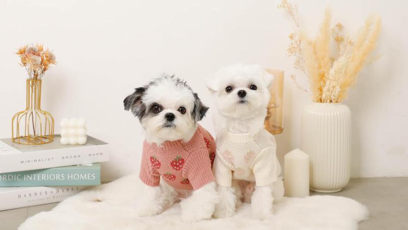 株式会社ｍｏｎｃｈｅｒｉの求人・転職情報