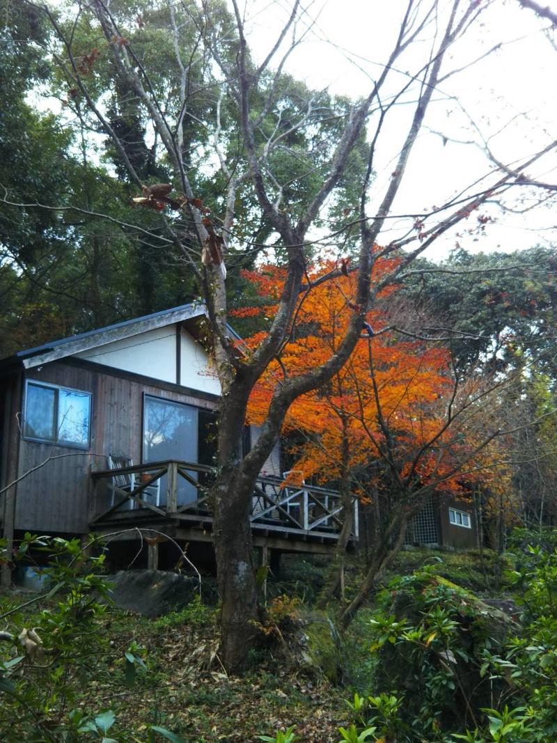 Happy・Wanのアルバイト・バイト求人情報-03